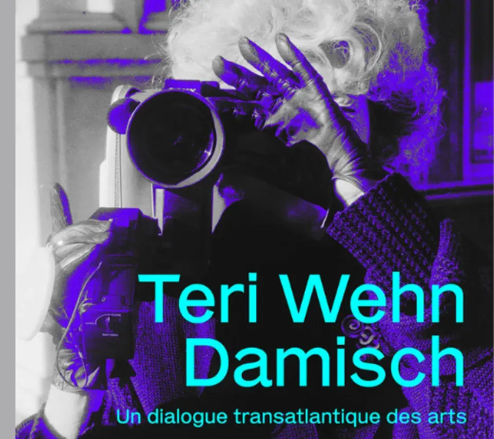 Bannière Rétrospective Teri Wehn Damisch 